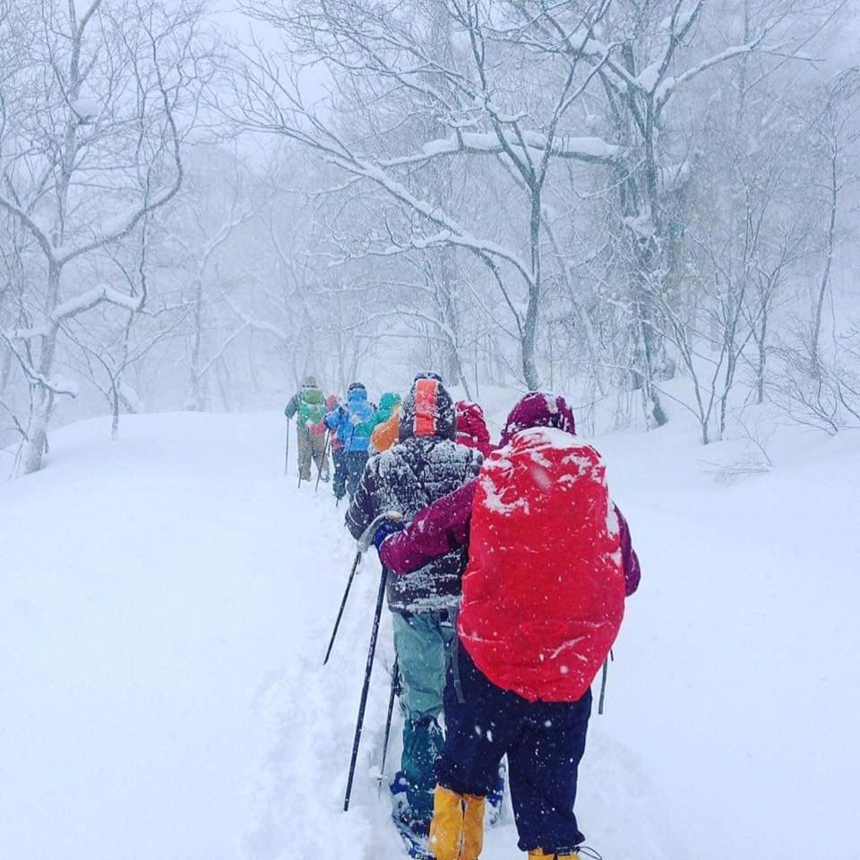 Hotel Hakuba Vivaldi Esterno foto